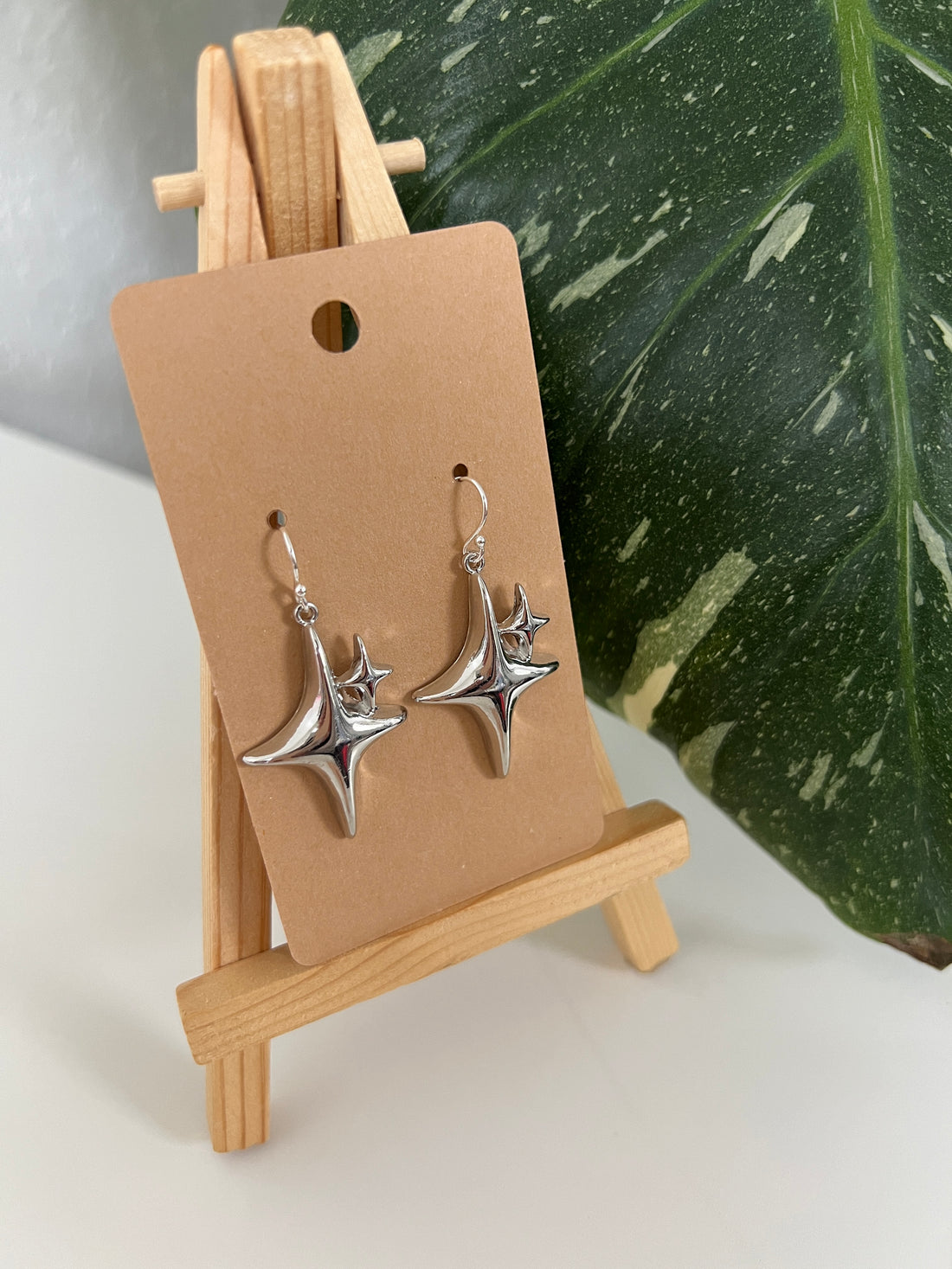 Twin Stars